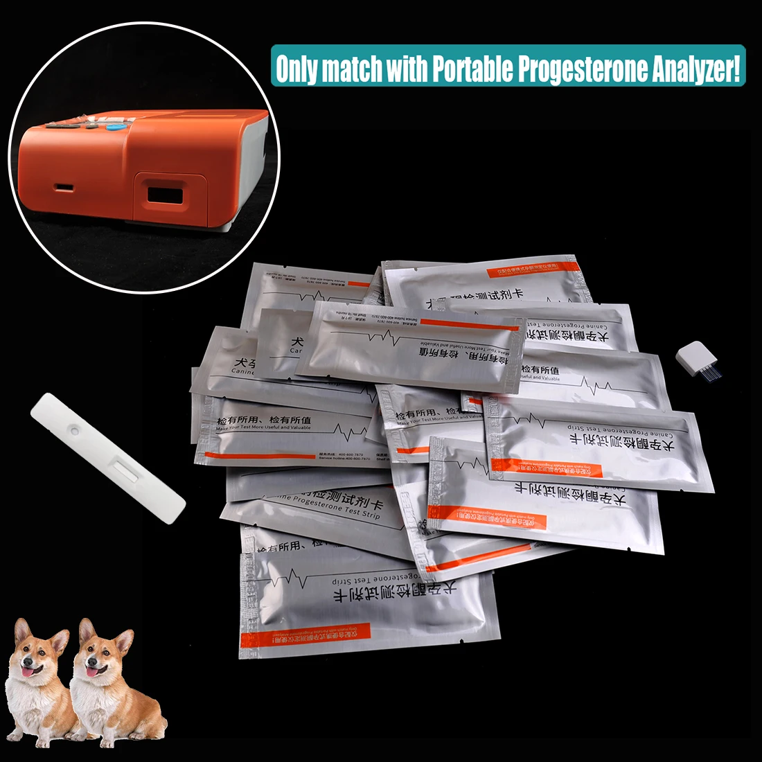 Hunde Progesteron Teststreifen – Hair Porosity Test Bewertung und Preis